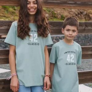 Tee-shirt édition 42 enfant sauge