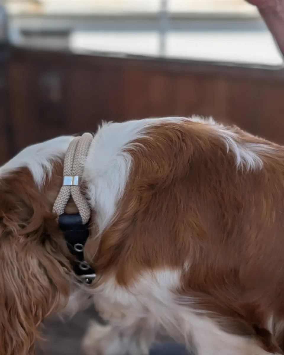 Le collier George Nude – Image 3