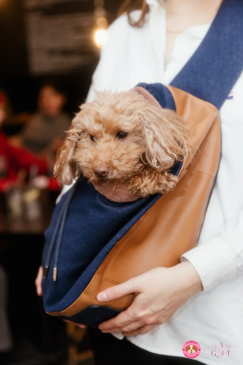 Le sac de transport Babylone - Cognac – Image 3